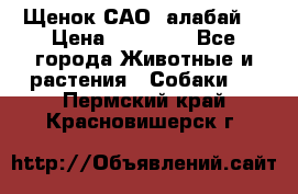 Щенок САО (алабай) › Цена ­ 10 000 - Все города Животные и растения » Собаки   . Пермский край,Красновишерск г.